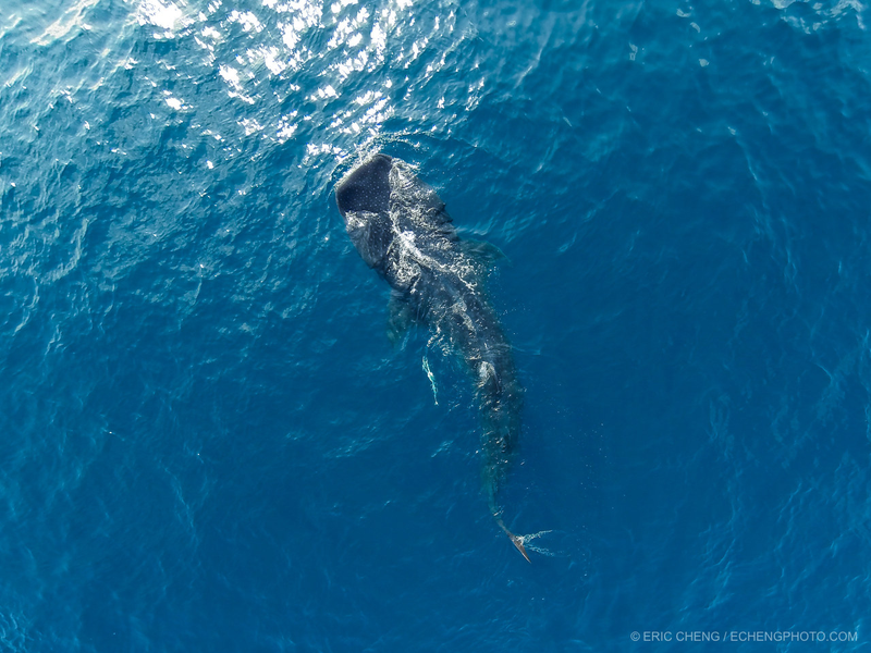 Illustration for article titled Learn to Take Drone Photographs That Are Breathtaking Art